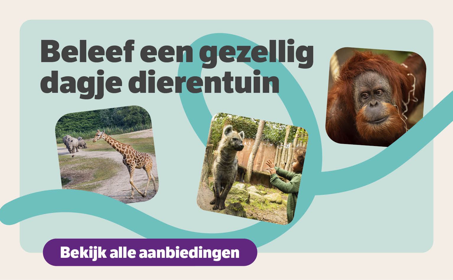 Beleef een gezellig dagje dierentuin