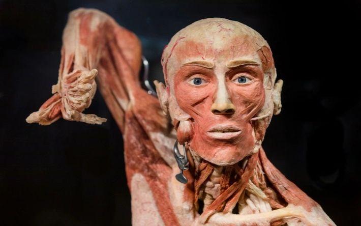 Body Worlds