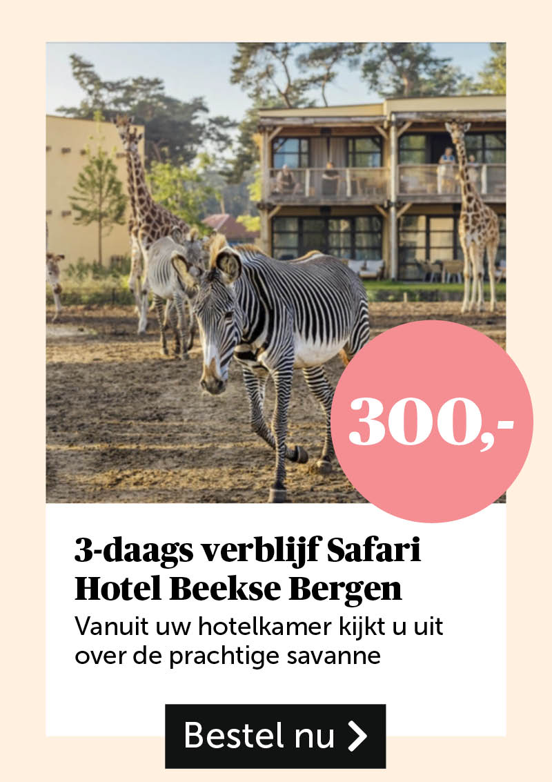 3-daags verblijf Safari Beekse Bergen