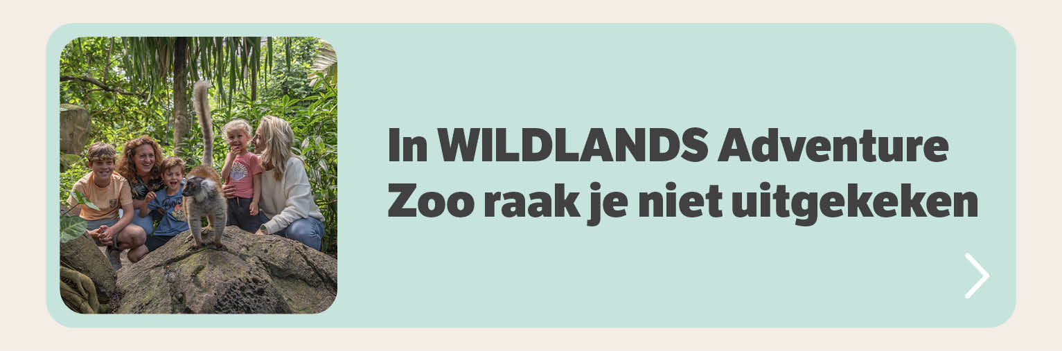 In Wildlands Adventure Zoo raak je niet uitgekeken
