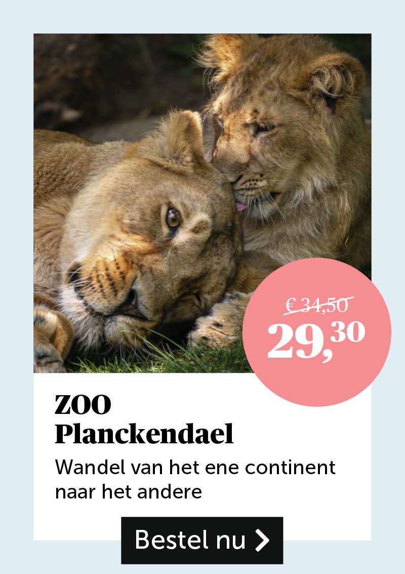 ZOO Planckendael