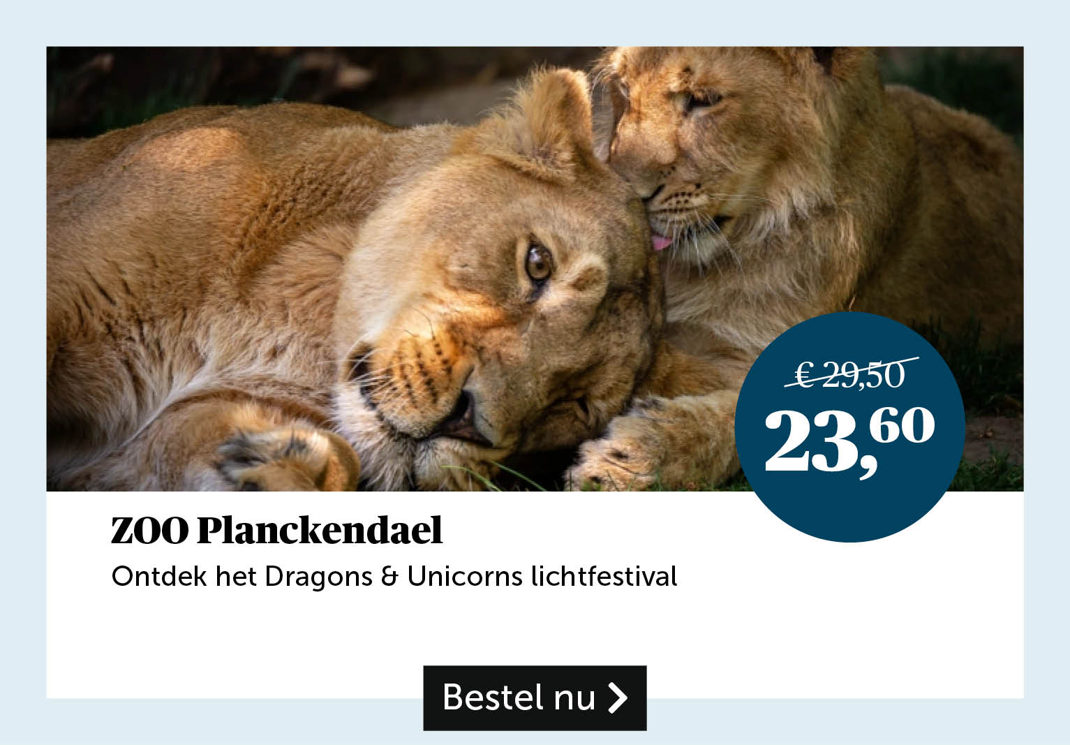 ZOO Planckendael