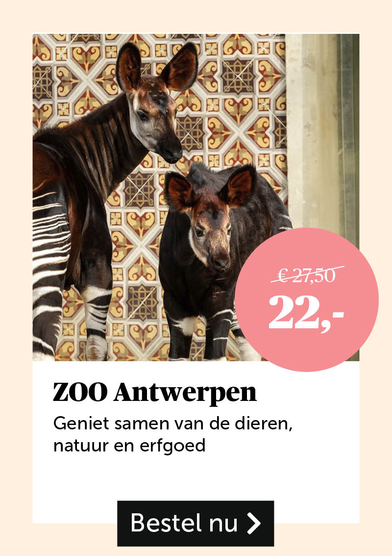 ZOO Antwerpen