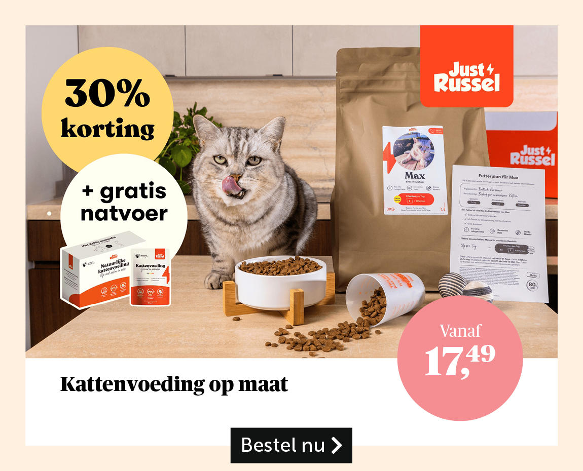 Just Russel kattenvoeding