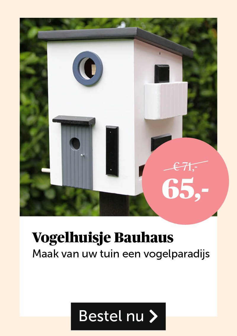 Vogelhuisje Bauhaus