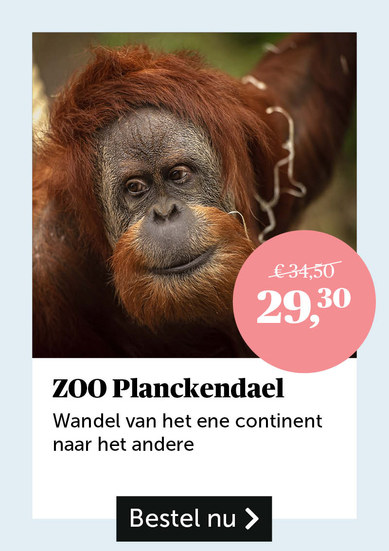 ZOO Planckendael 