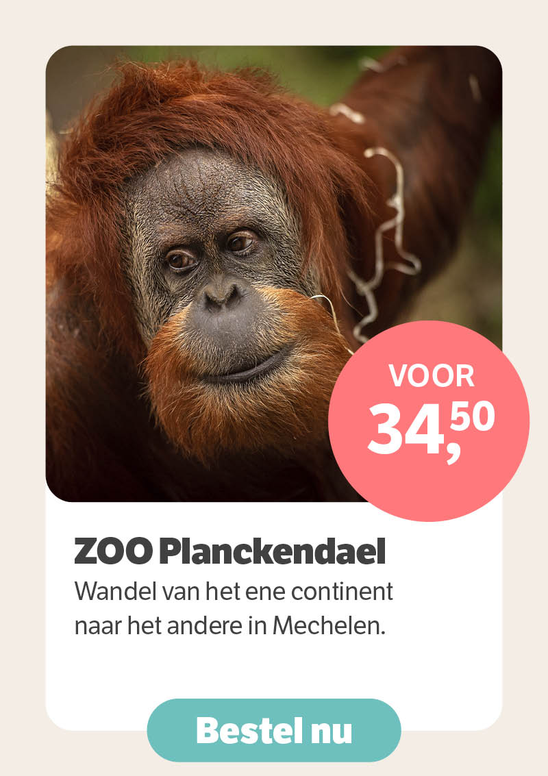 Zoo Planckendael