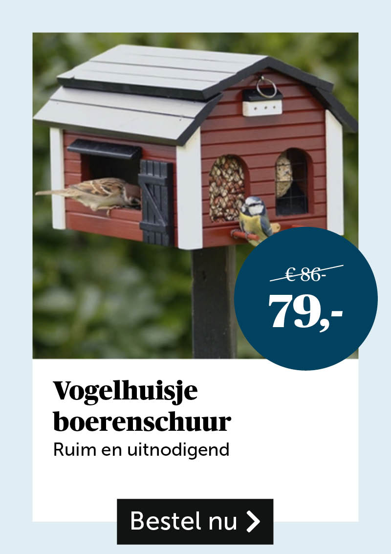 Vogelhuisje boerenschuur