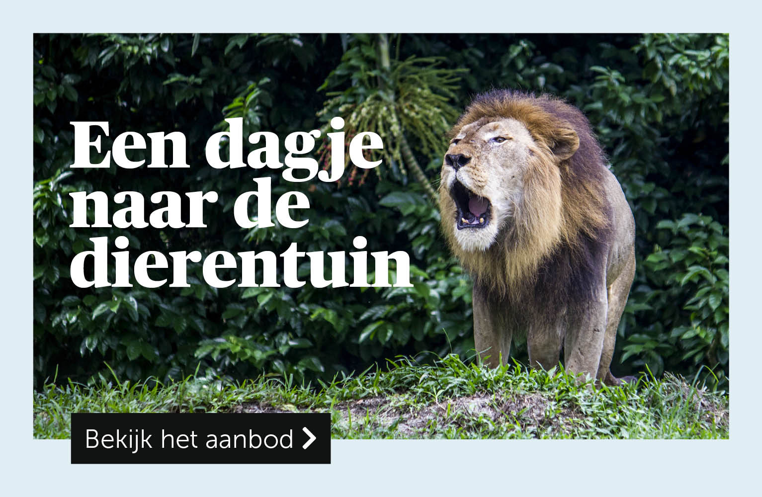 Een dagje naar de dierentuin