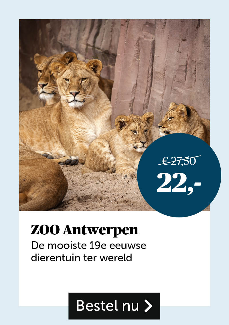 ZOO Antwerpen