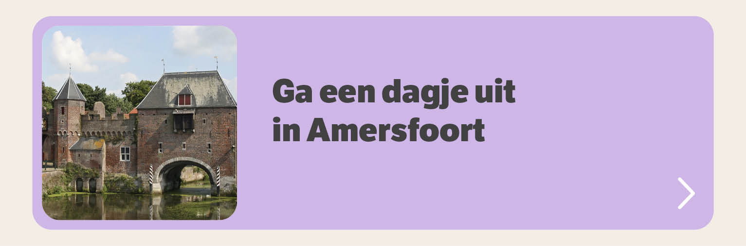 Dagje Amersfoort