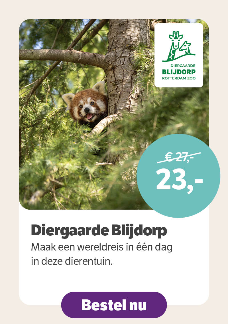 Blijdorp