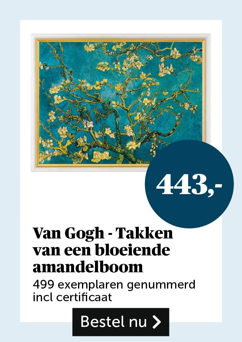 Van Gogh - Takken van een bloeiende amandelboom