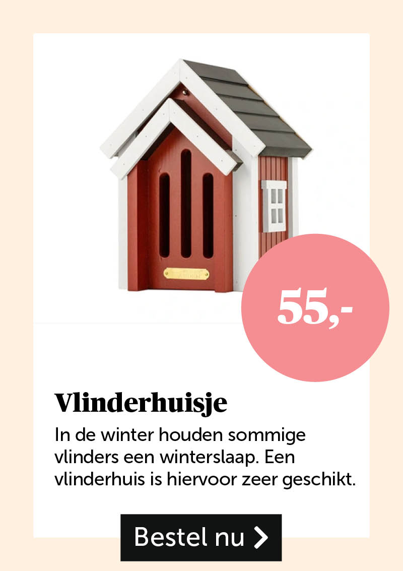 Vlinderhuisje