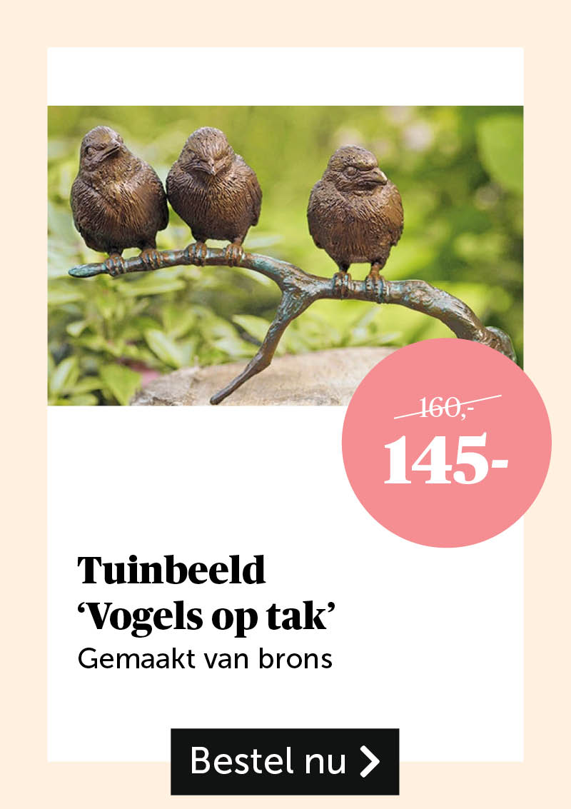 Tuinbeeld 'Vogels op tak'