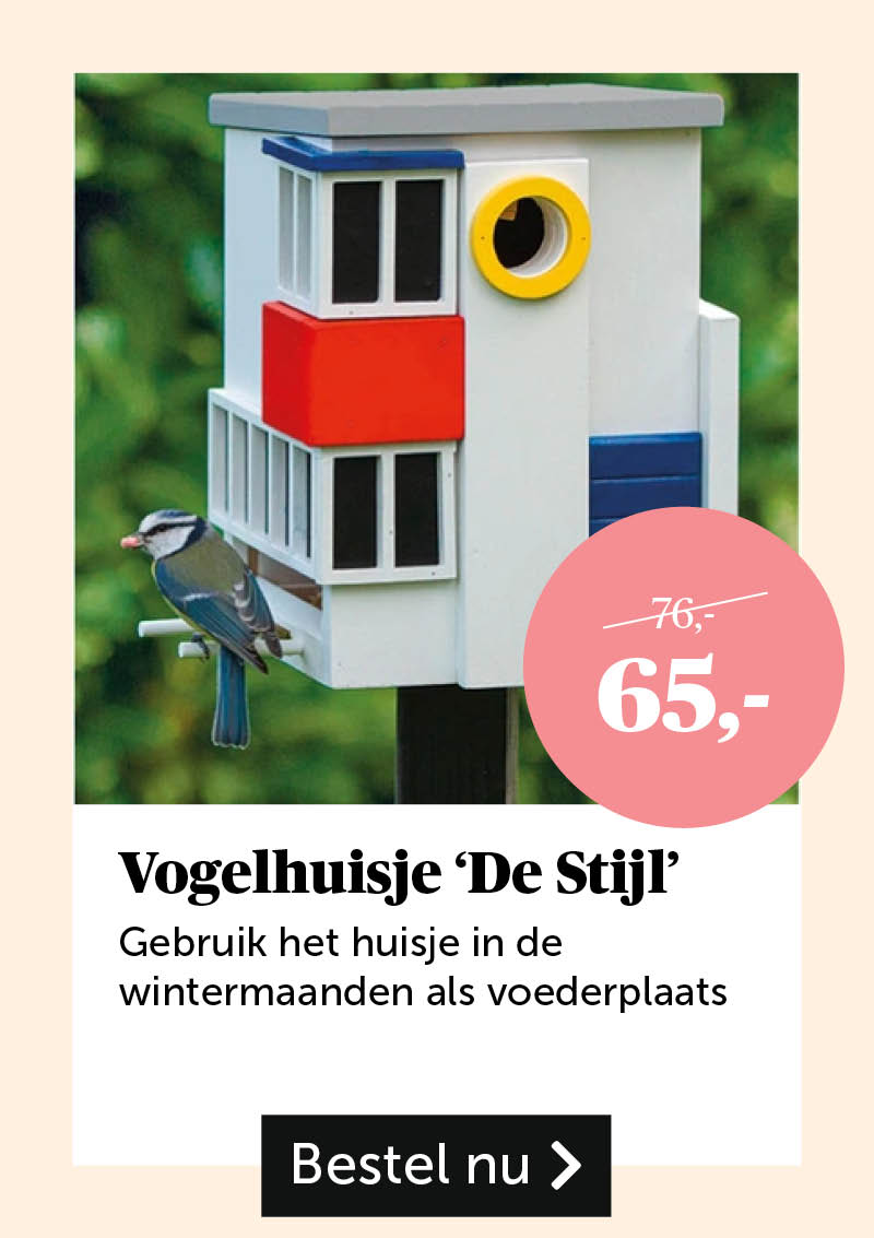 Vogelhuisje 'De Stijl'