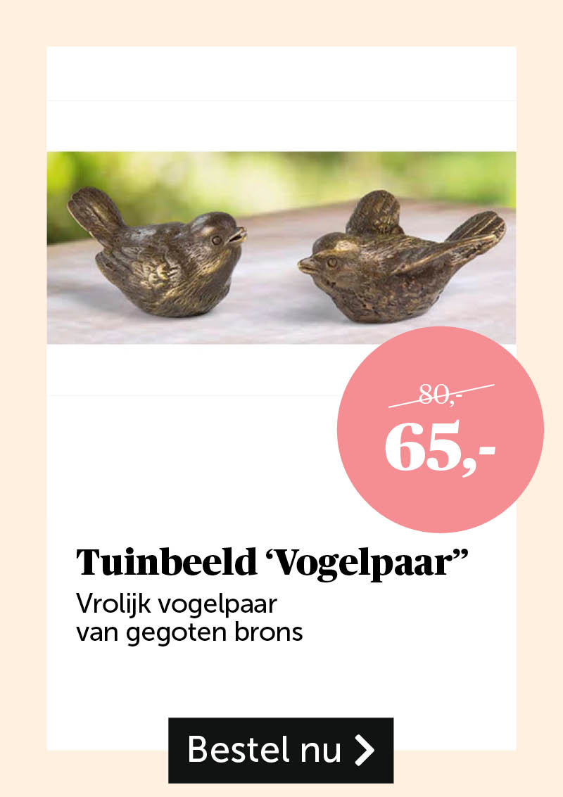 Tuinbeeld 'Vogelpaar"