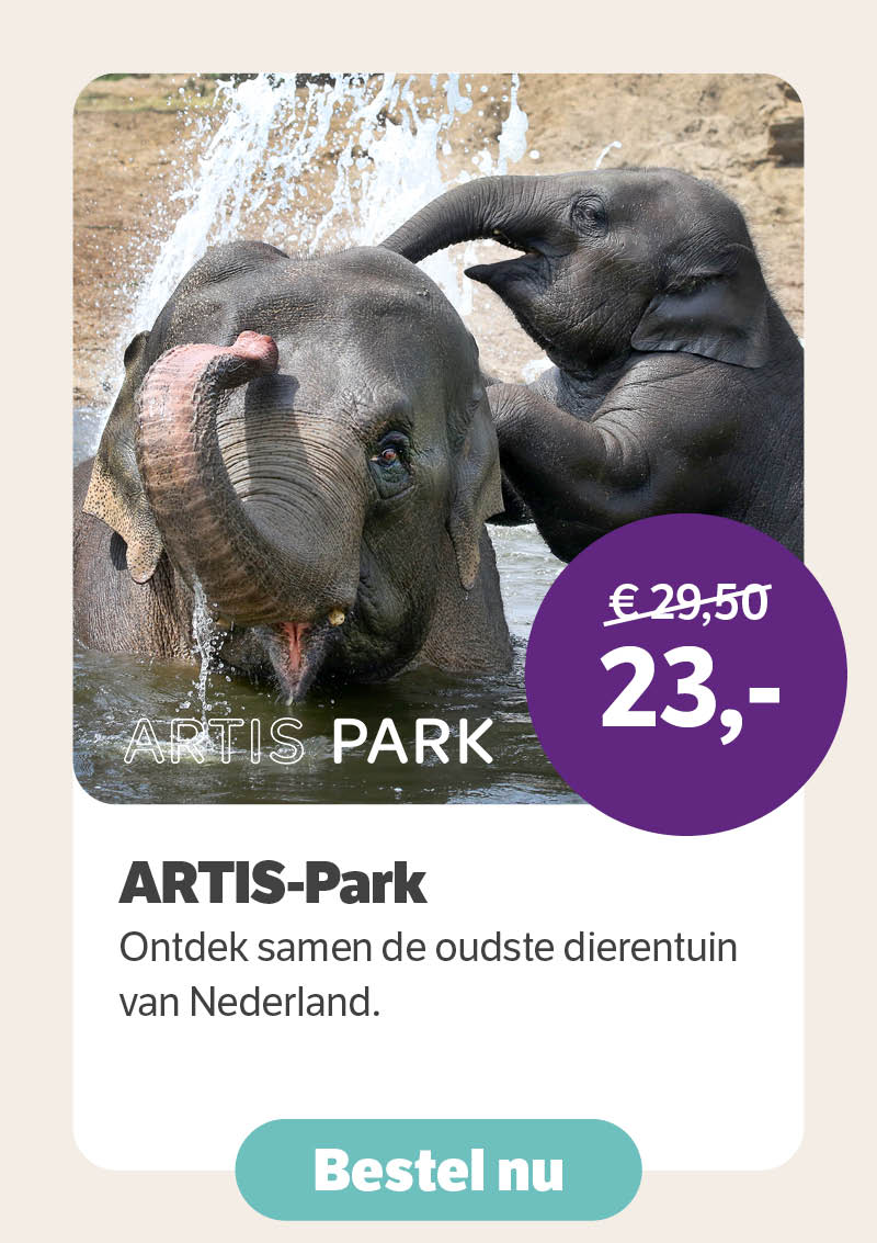 ARTIS-Park