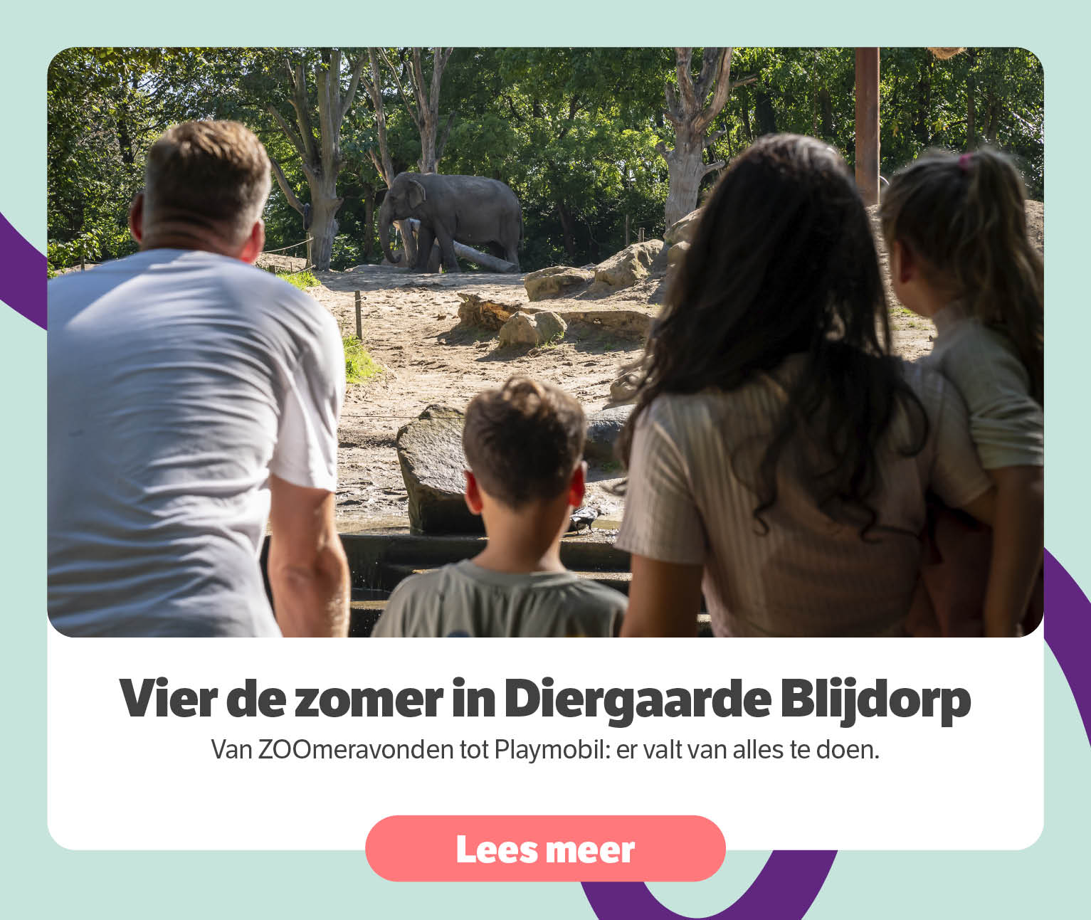 Vier de zomer in Diergaarde Blijdorp
