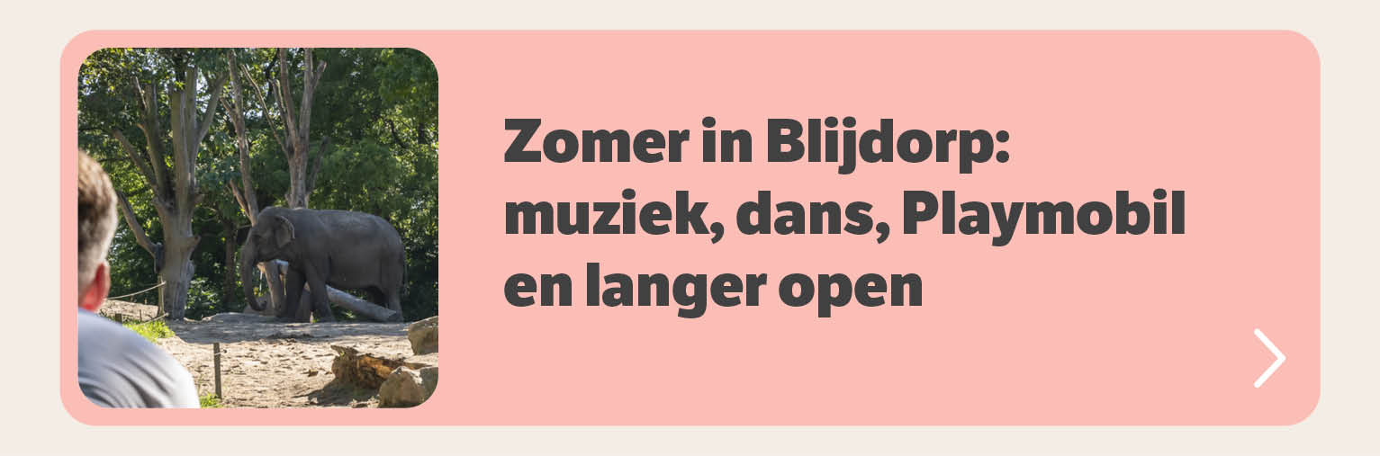 Zomer in Blijdorp
