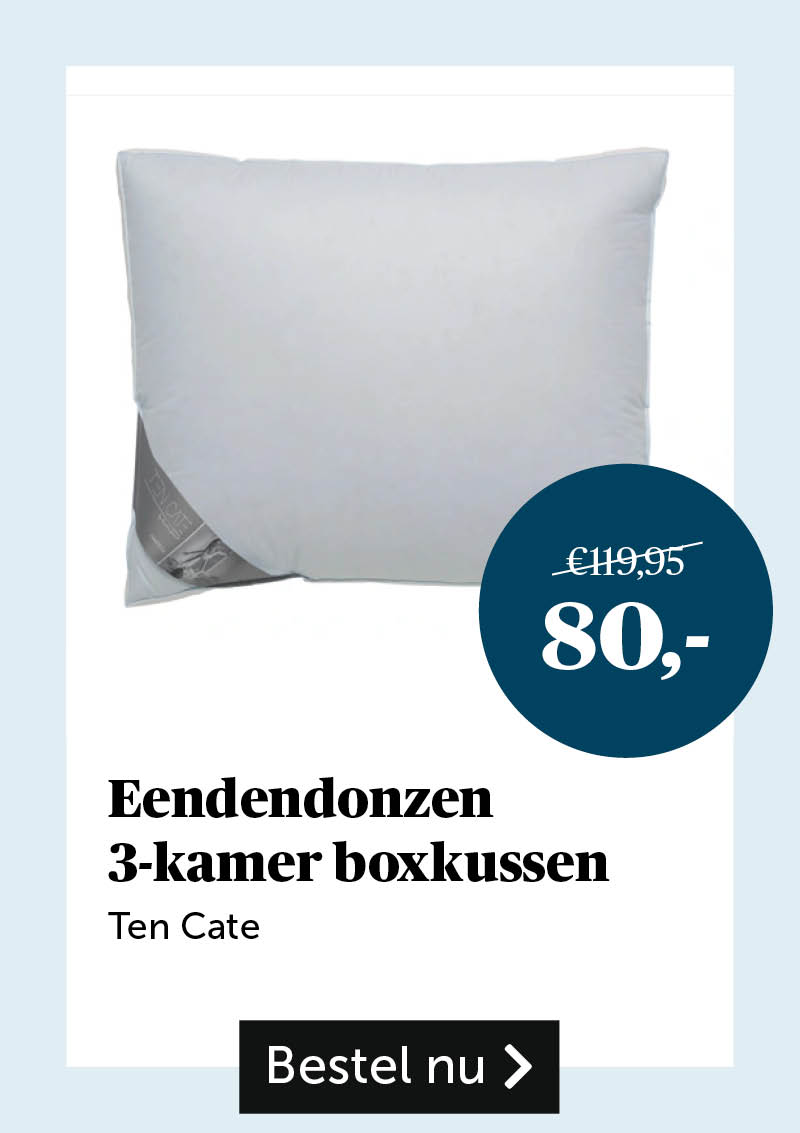 Eendendonzen 3-kamer boxkussen