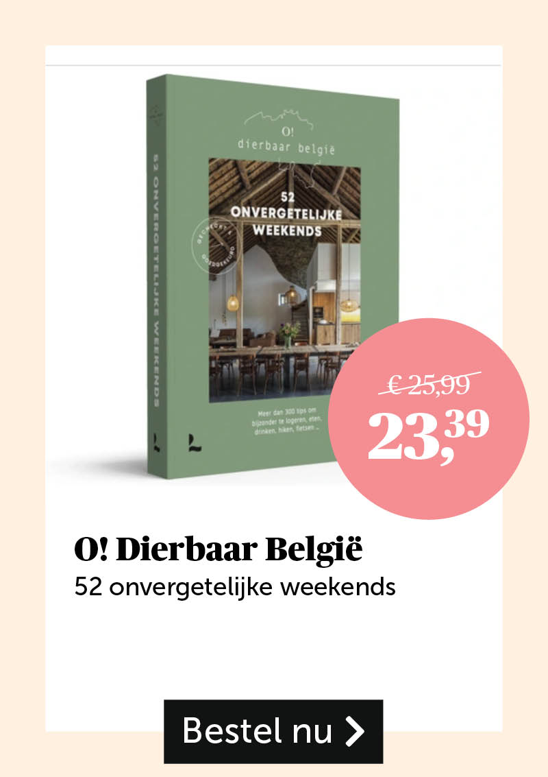 O! Dierbaar Belgie