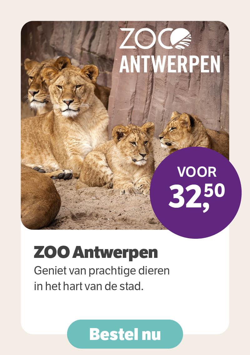Zoo Antwerpen