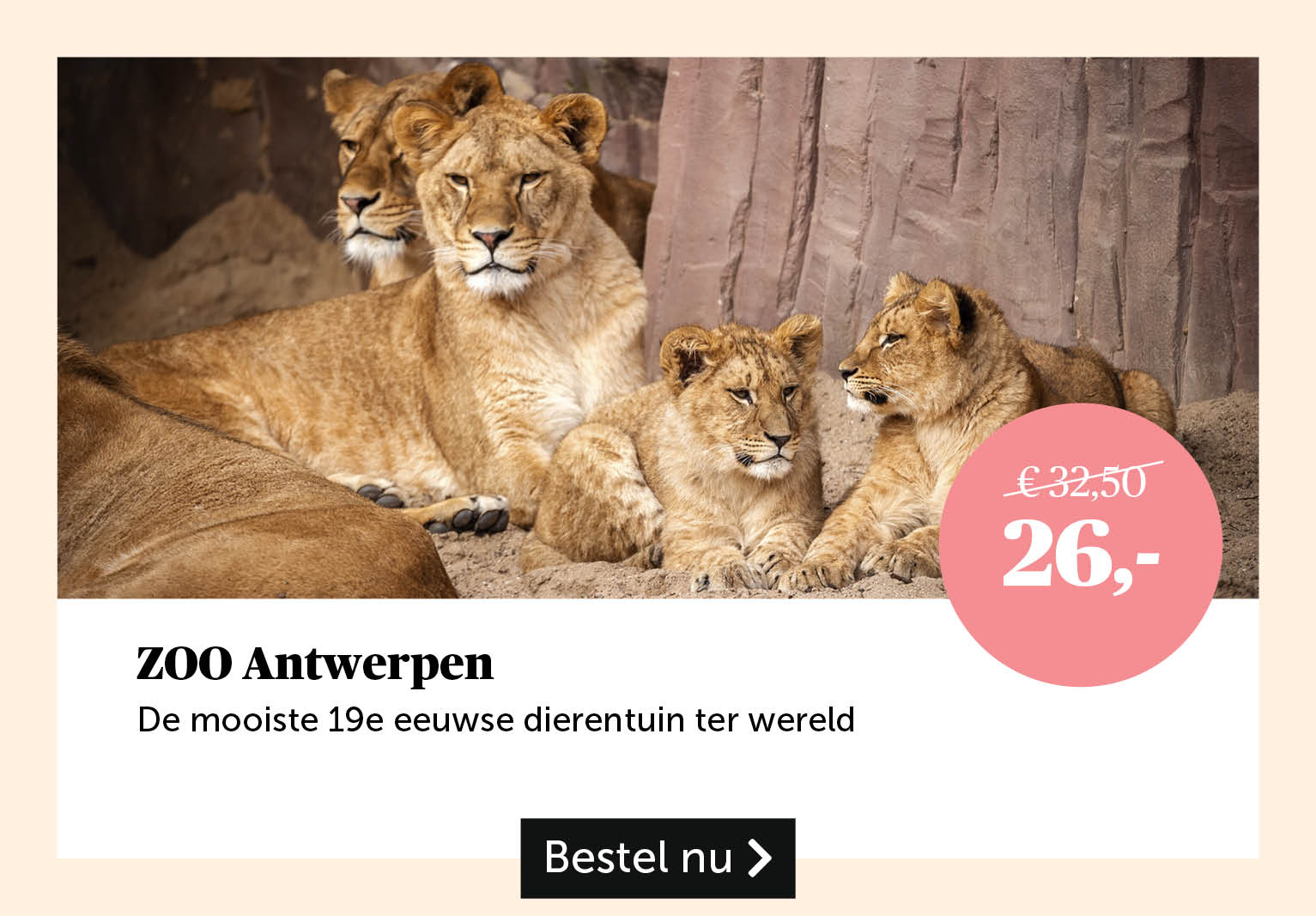 Zoo Antwerpen