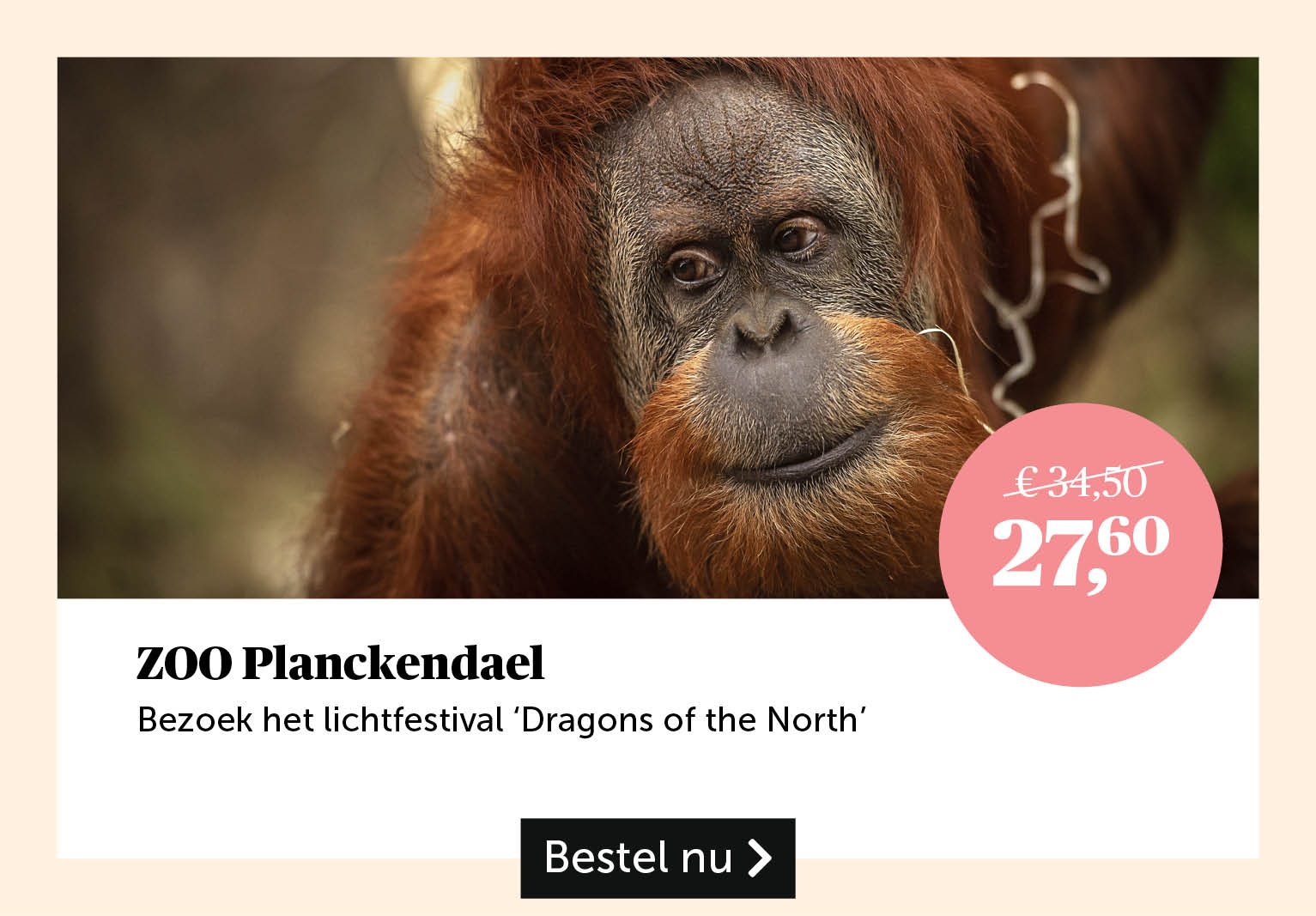 Zoo Planckendael