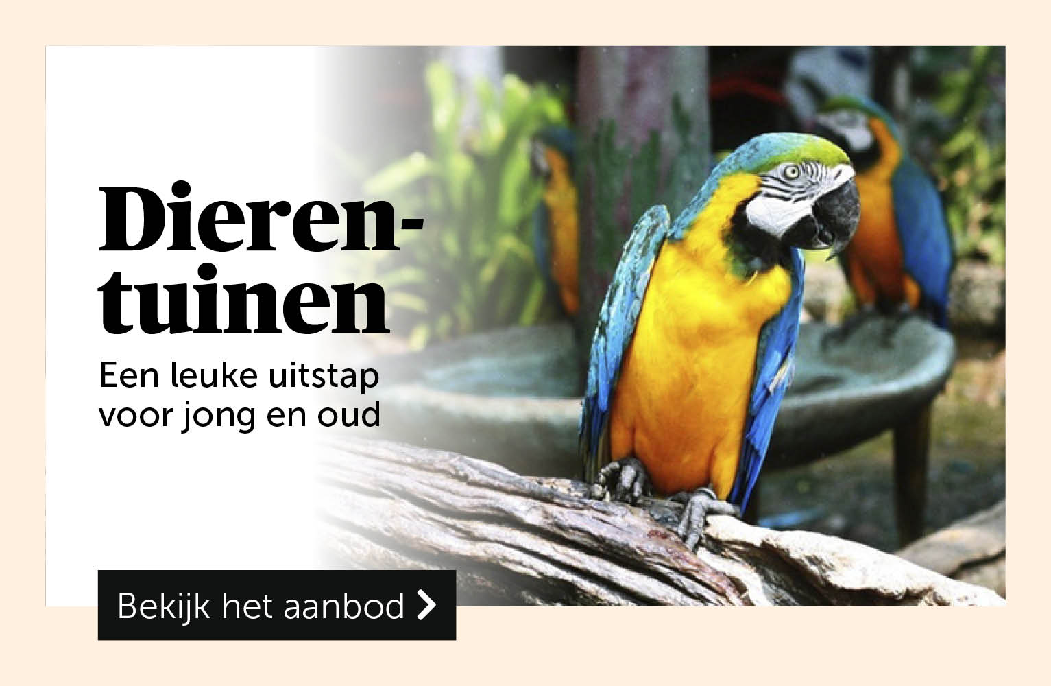 Dierentuinen