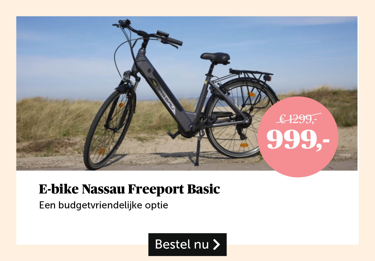 E-bike Nassau Freeport Basic