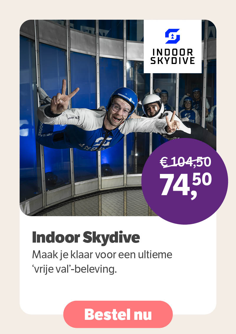 Indoor Skydive