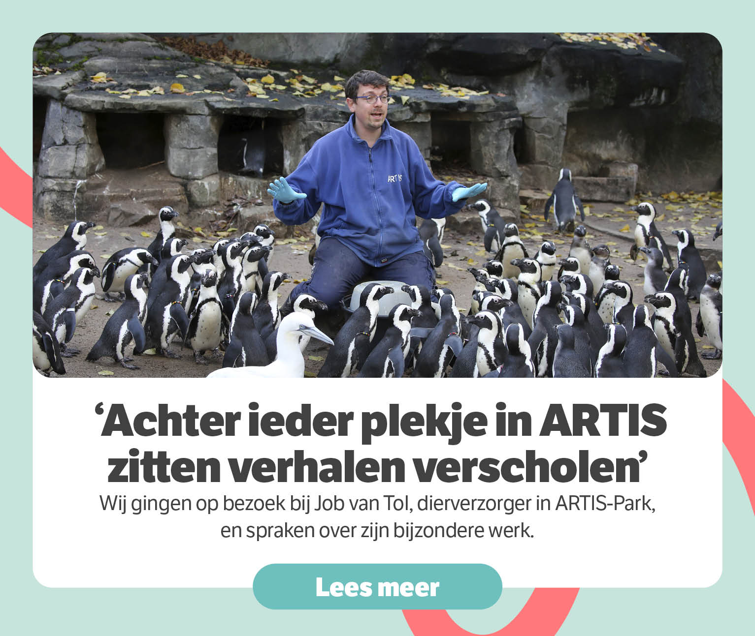 Achter ieder plekje in Artis zitten verhalen verscholen