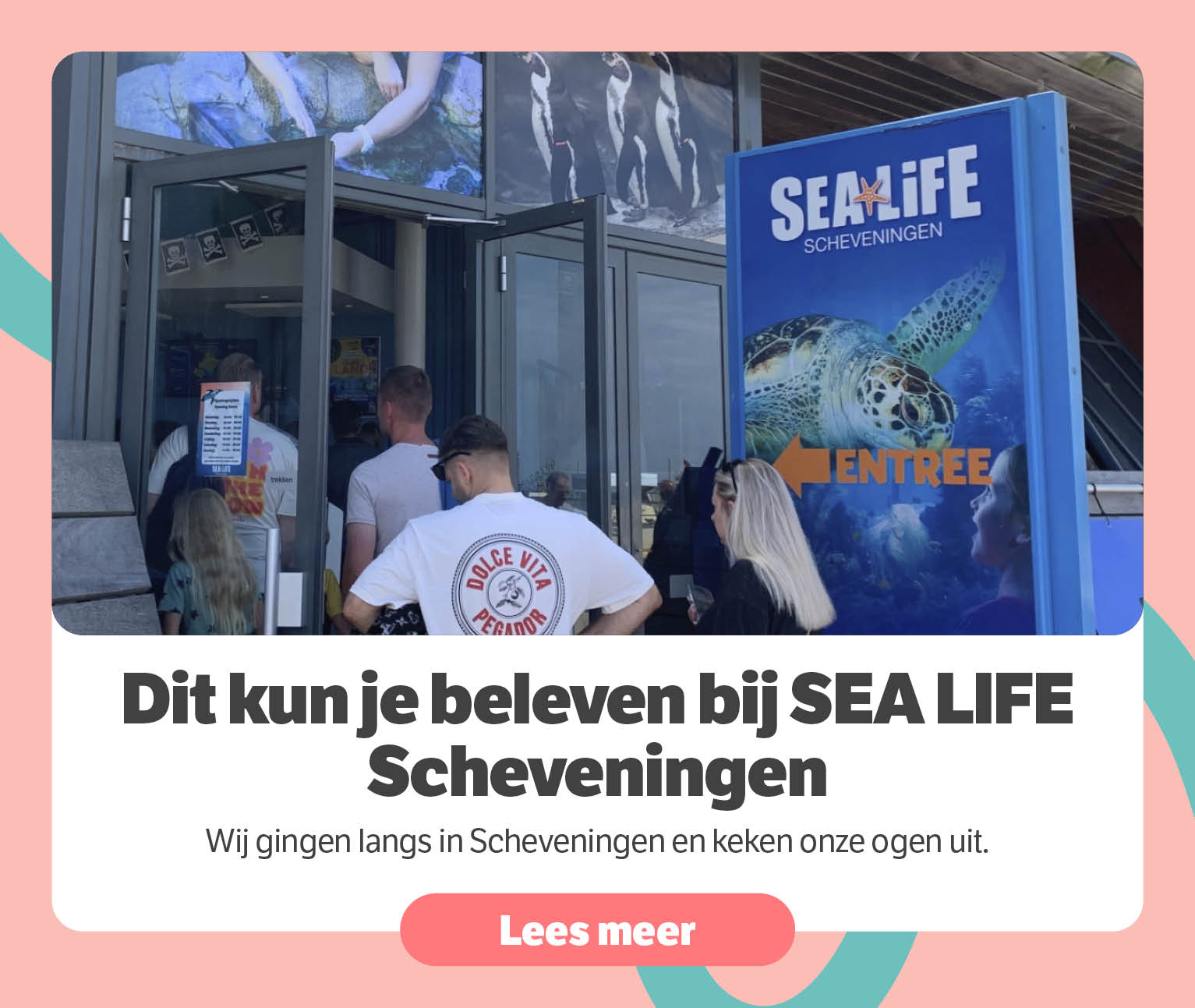 Dit kun je beleven bij SEA Life Scheveningen