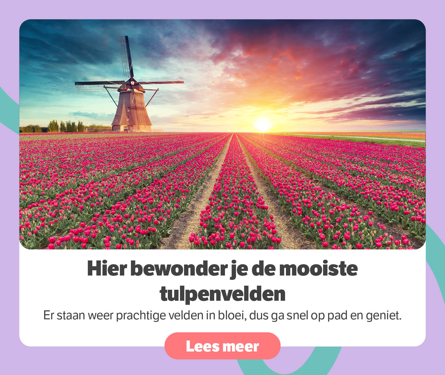 Hier bewonder je de mooiste tulpenvelden