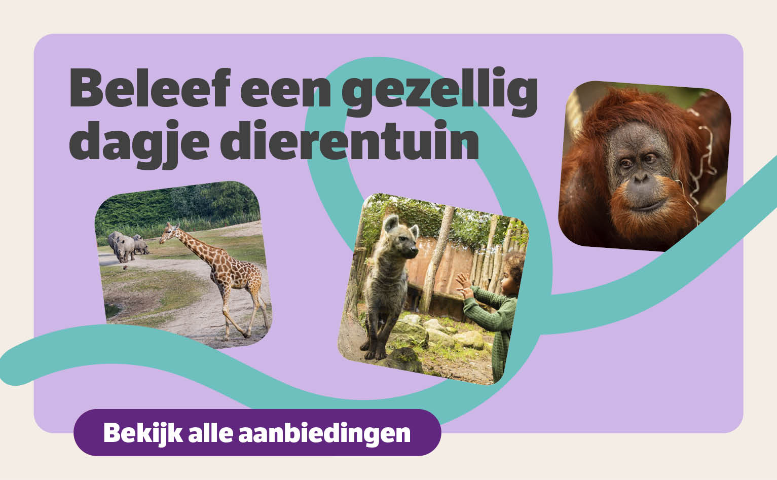 Beleef een gezellig dagje dierentuin