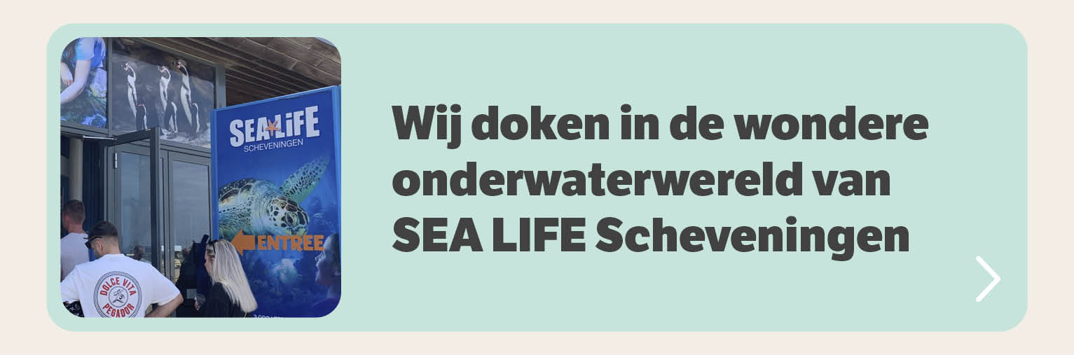 Wij doken in de wondere onderwaterwereld van SEA LIFE Scheveningen