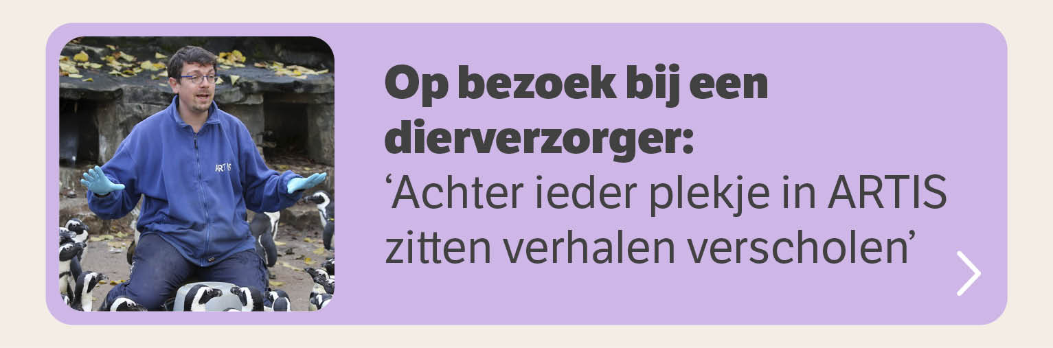 Op bezoek bij een dierverzorger