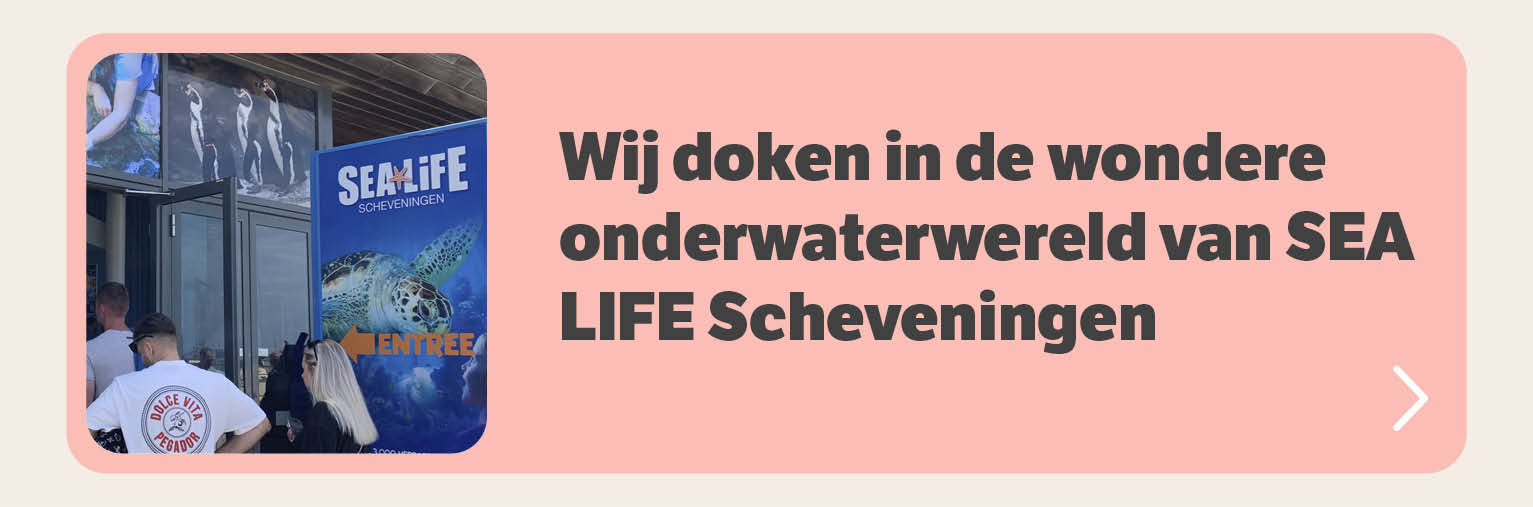 Wij doken in de wondere onderwaterwereld van SEA LIFE Scheveningen