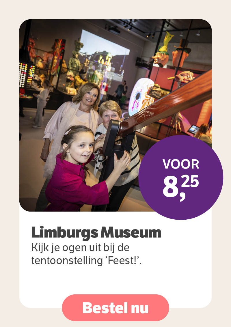 Limburgs Museum