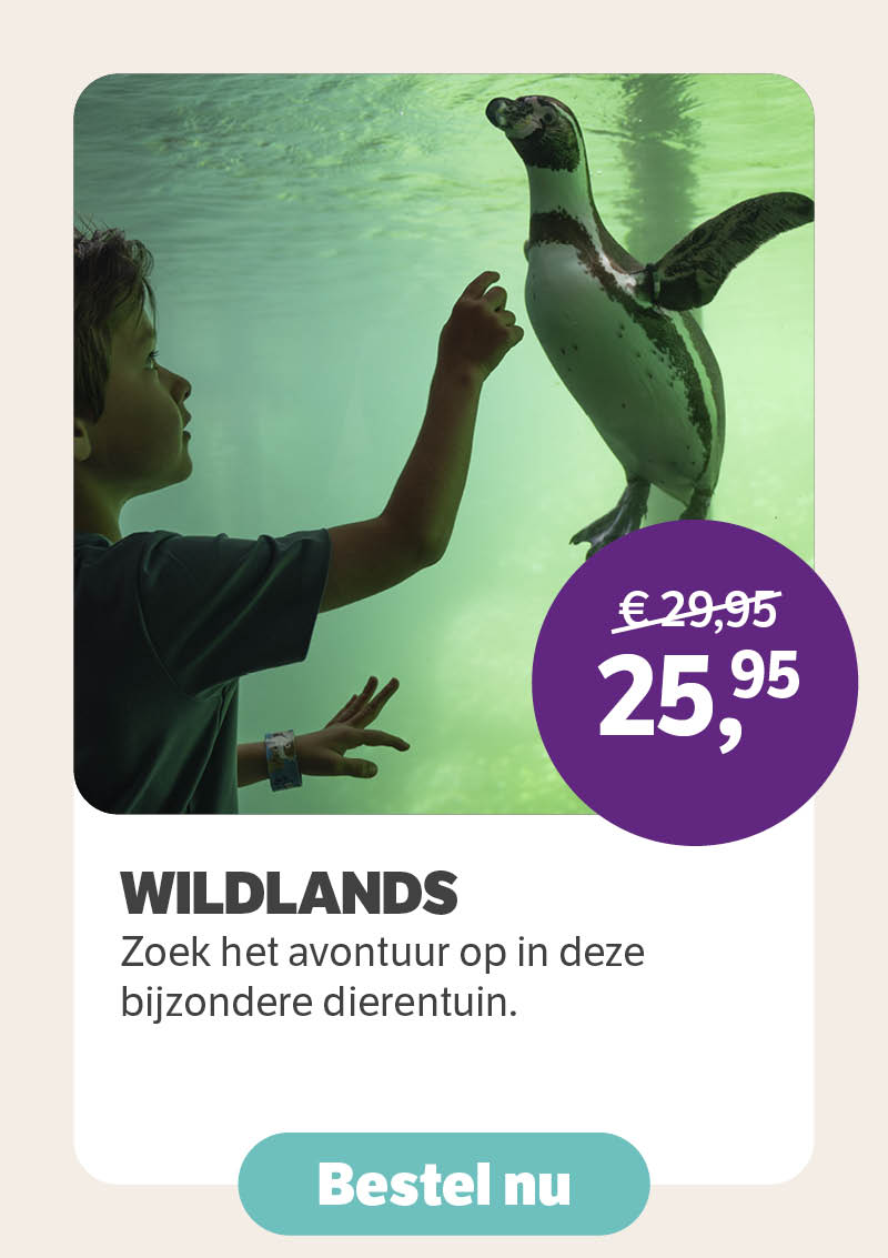 WILDLANDS