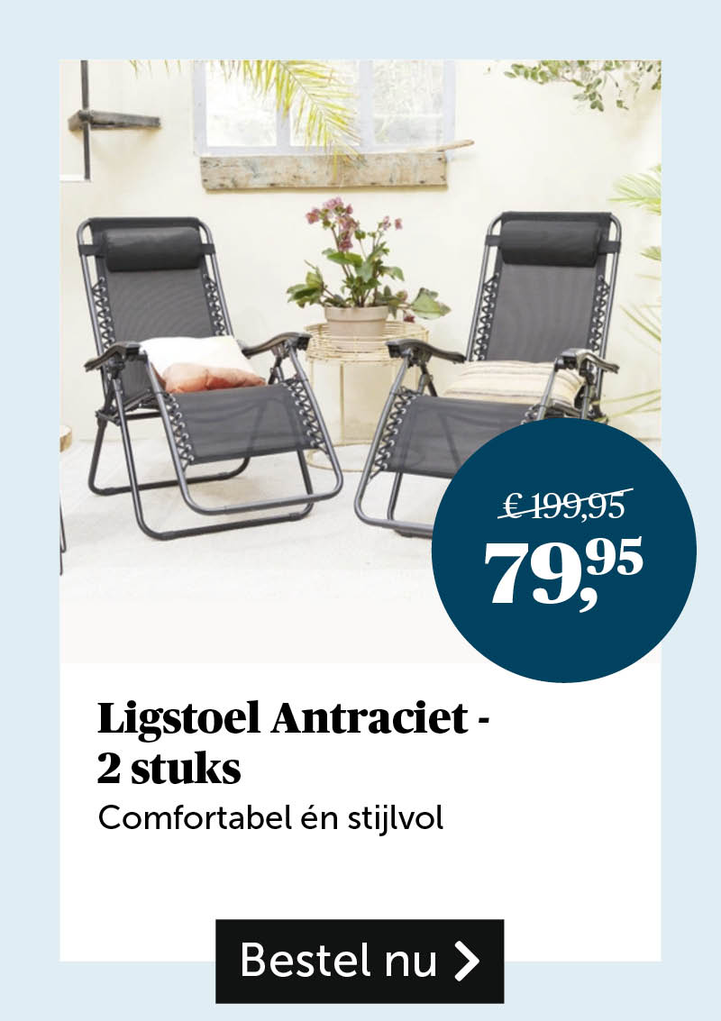 Ligstoel Antraciet - 2 stuks