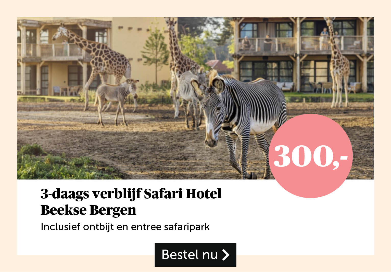 3-daags verblijf Safari Hotel Beekse Bergen