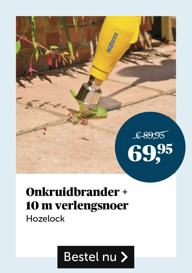 onkruidbrander + 10m verlengsnoer