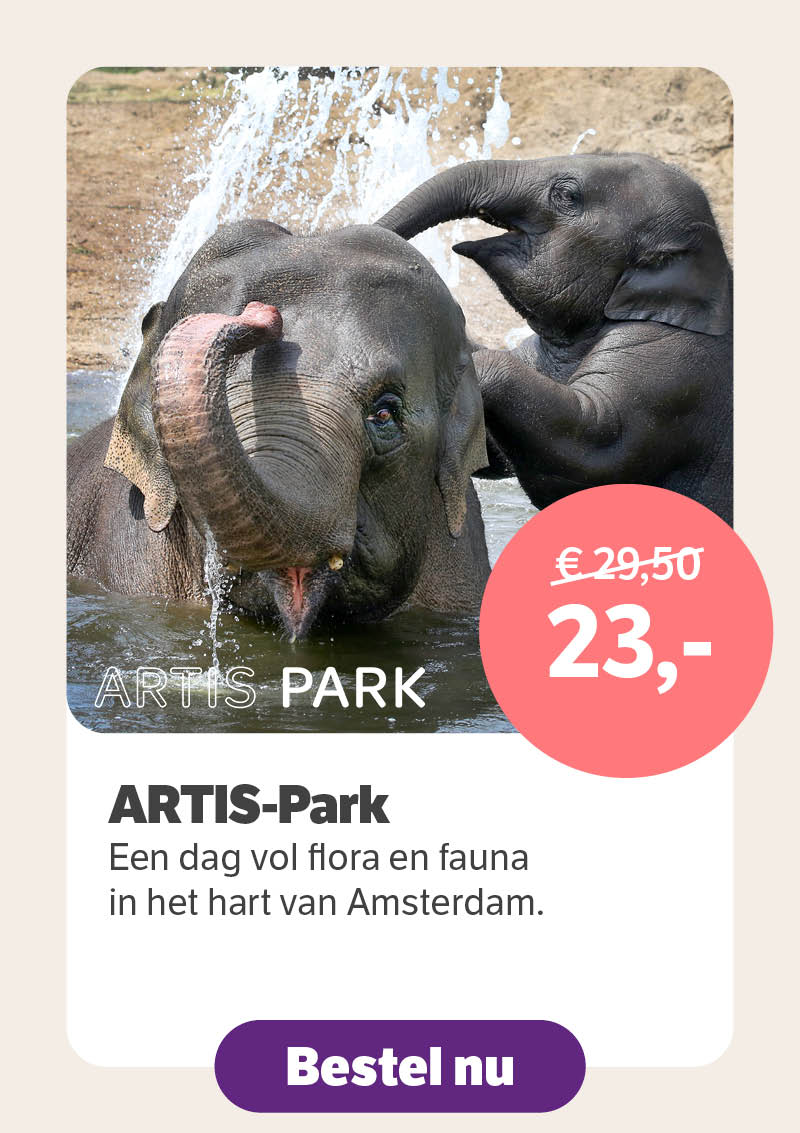 ARTIS-Park