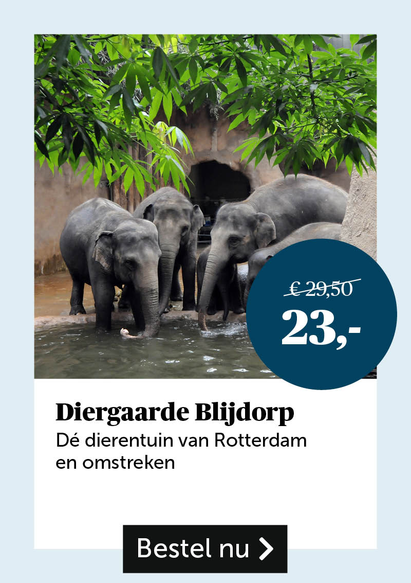 Diergaarde Blijdorp