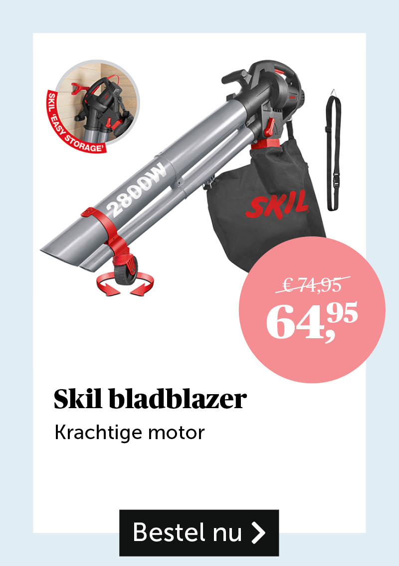 Skil bladblazer 