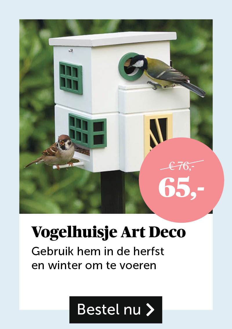 Vogelhuisje Art Deco