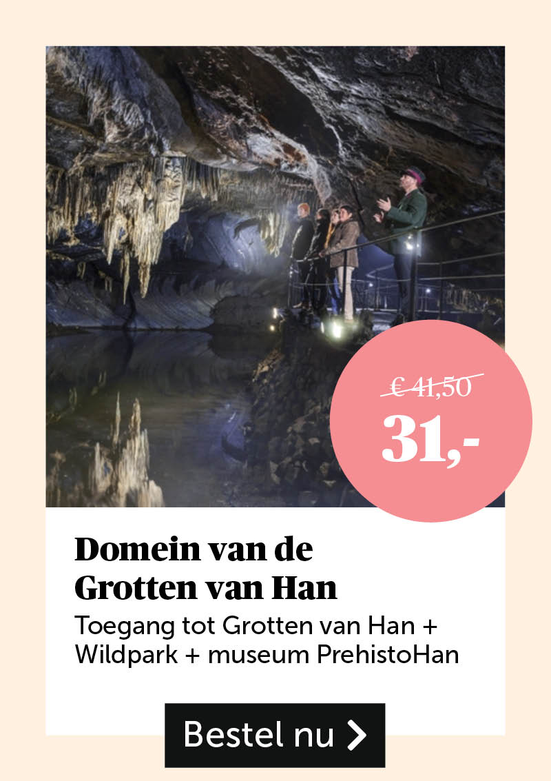 Domein van de grotten van Han