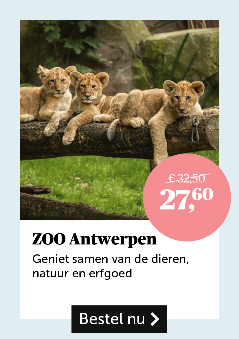 Zoo Antwerpen